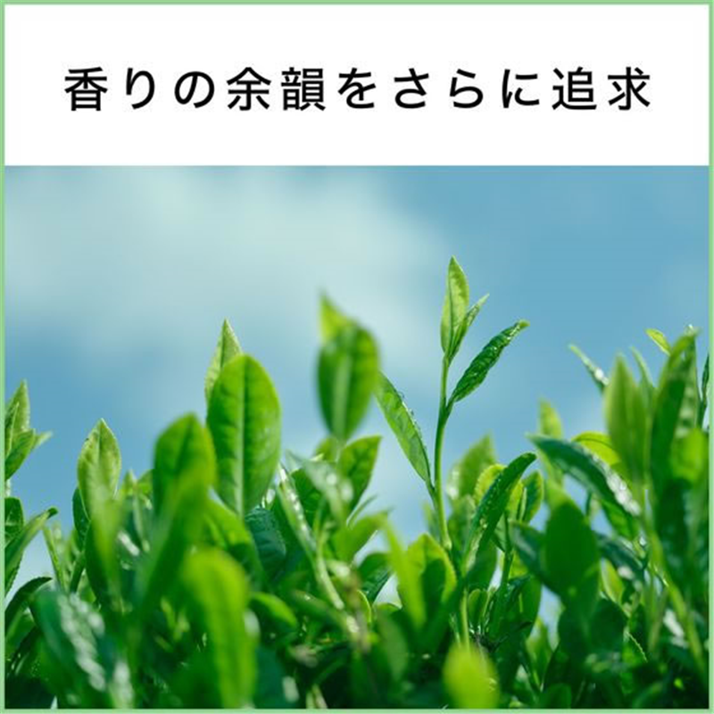伊藤園 お~いお茶 ほうじ茶 電子レンジ対応 275mL 48本 1セット※軽(ご注文単位1セット)【直送品】
