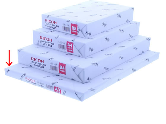 リコー フルカラーコピー用紙 タイプ6000(70W) A3ノビ 13×19インチ 1冊(ご注文単位1冊)【直送品】