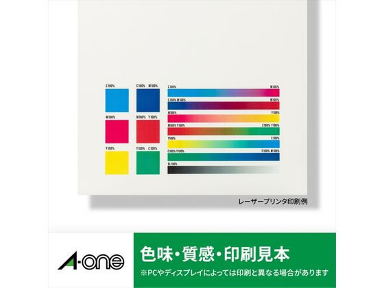 屋外用レーザーラベル ツヤ消しフィルム ホワイト A4 ノーカット 30枚 1冊(ご注文単位1冊)【直送品】