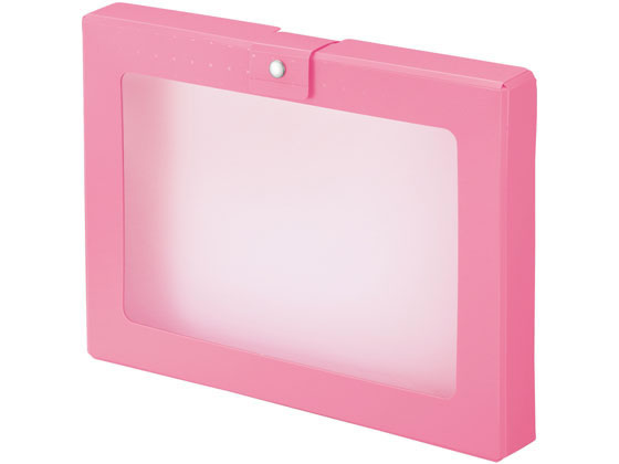 リヒトラブ CUBE FIZZ ハンドケース ピンク A699-12 1冊(ご注文単位1冊)【直送品】