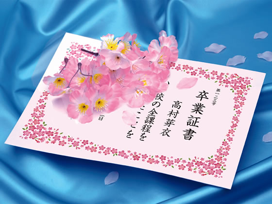 タカ印 OA対応 証書用紙 A4判 桜 10枚 10-1701 1冊(ご注文単位1冊)【直送品】