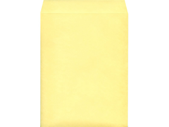 角3カラークラフト封筒クリーム 100枚 K3S-421 1パック(ご注文単位1パック)【直送品】