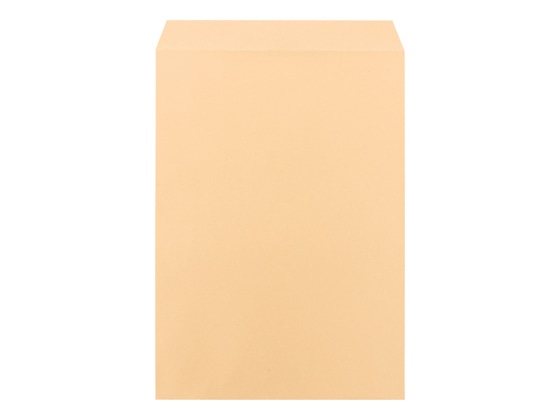 ツバメ工業 クラフト封筒 A3用 100g/㎡ 50枚 K100-KA3-50 1パック(ご注文単位1パック)【直送品】