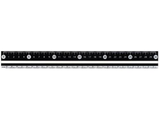 レイメイ 見やすい白黒定規 30cm ブラック APJ281B 1本（ご注文単位1本)【直送品】