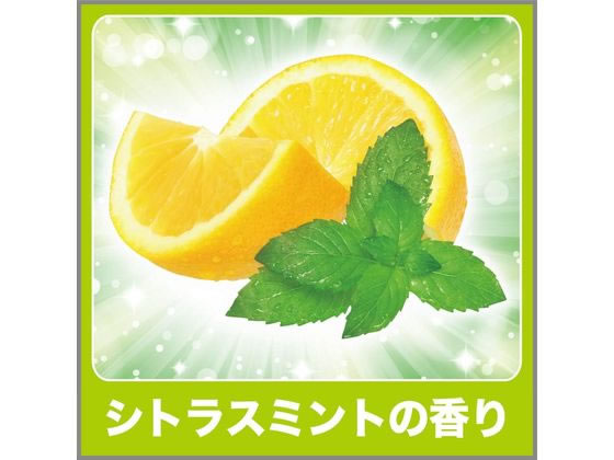 エステー ゴミ箱用 消臭力 シトラスミントの香り 2個 1パック(ご注文単位1パック)【直送品】