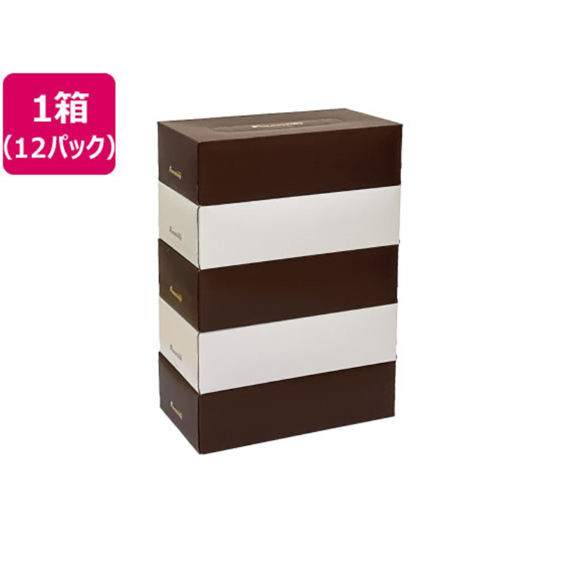 Forestway ティッシュペーパー ホワイト×ブラウン200組 5個×12パック 1箱（ご注文単位1箱)【直送品】