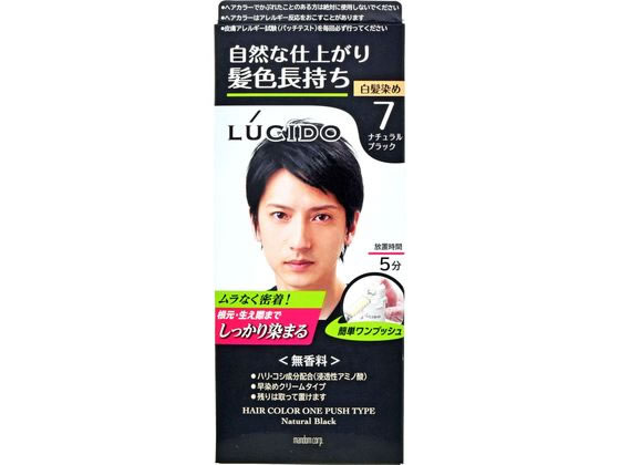 マンダム ルシード ワンプッシュケアカラー ナチュラルブラック 1組 1本(ご注文単位1本)【直送品】