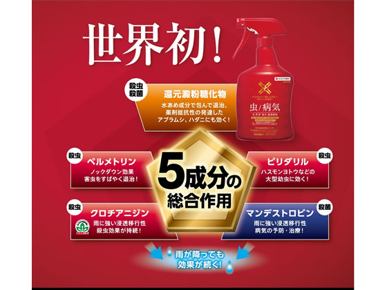 KINCHO園芸 ベニカXネクストスプレー 1000ml 1個（ご注文単位1個)【直送品】