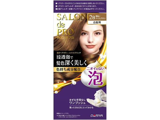 ダリヤ サロンドプロ 泡のヘアカラーEX(白髪用)2B 1個(ご注文単位1個)【直送品】
