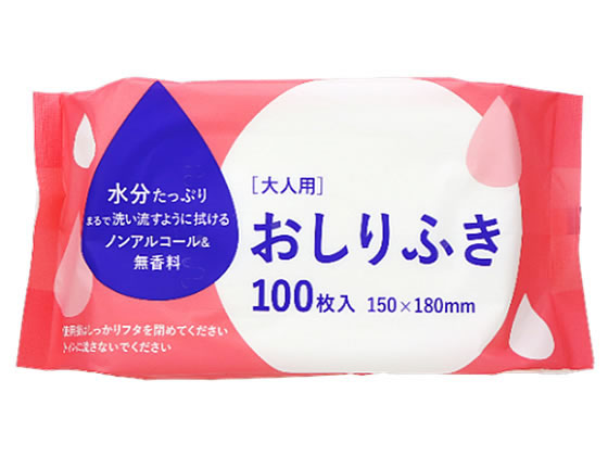 大和物産 大人用おしりふき 100枚入 81088 1パック(ご注文単位1パック)【直送品】