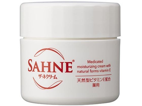 エーザイ ザーネ クリーム E 100g 1個(ご注文単位1個)【直送品】