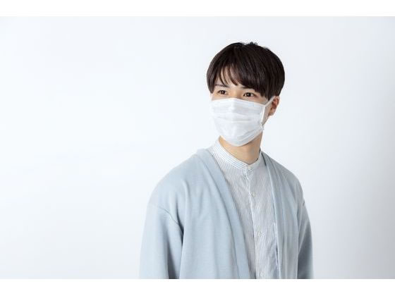 アイリス DAILYFITMASK なめらかタッチ 小さめ ホワイト 50枚 1箱(ご注文単位1箱)【直送品】