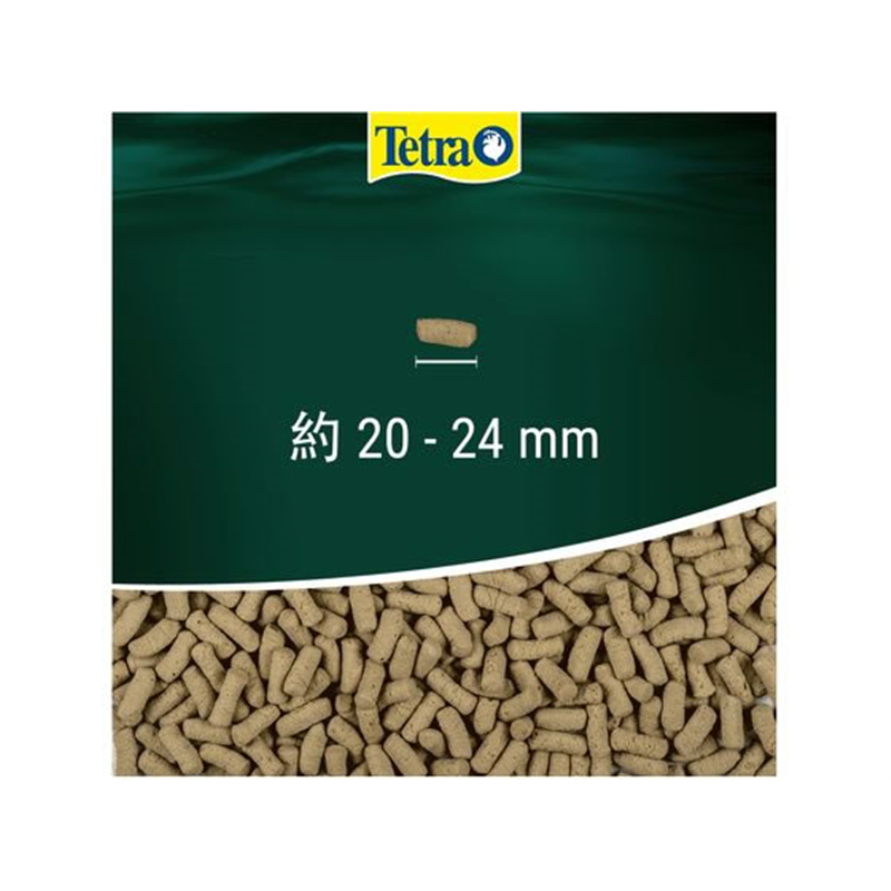 スペクトラムブランズジャパン テトラ レプトミン 超大粒 500g 1個(ご注文単位1個)【直送品】