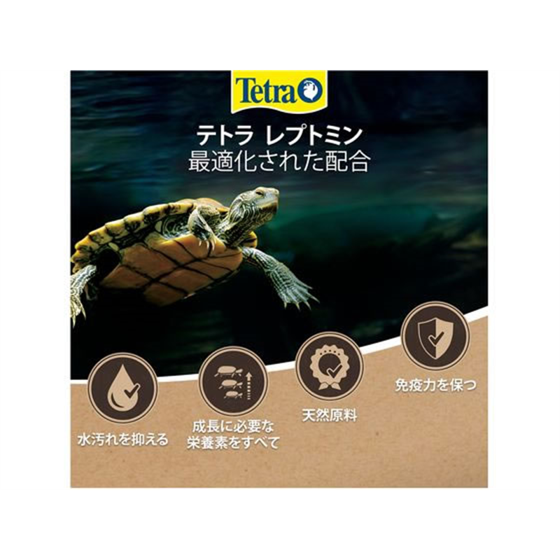 スペクトラムブランズジャパン テトラ レプトミン 超大粒 500g 1個(ご注文単位1個)【直送品】