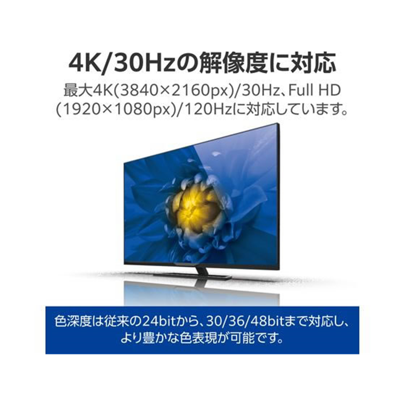 エレコム HDMI ケーブル ハイスピード 1m ブラック DH-HD14E10BK2 1個(ご注文単位1個)【直送品】