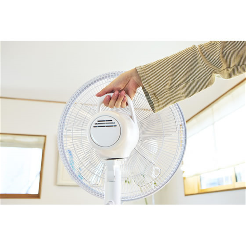 アピックス DCハイリビングファン AFL-351R 1台（ご注文単位1台）【直送品】