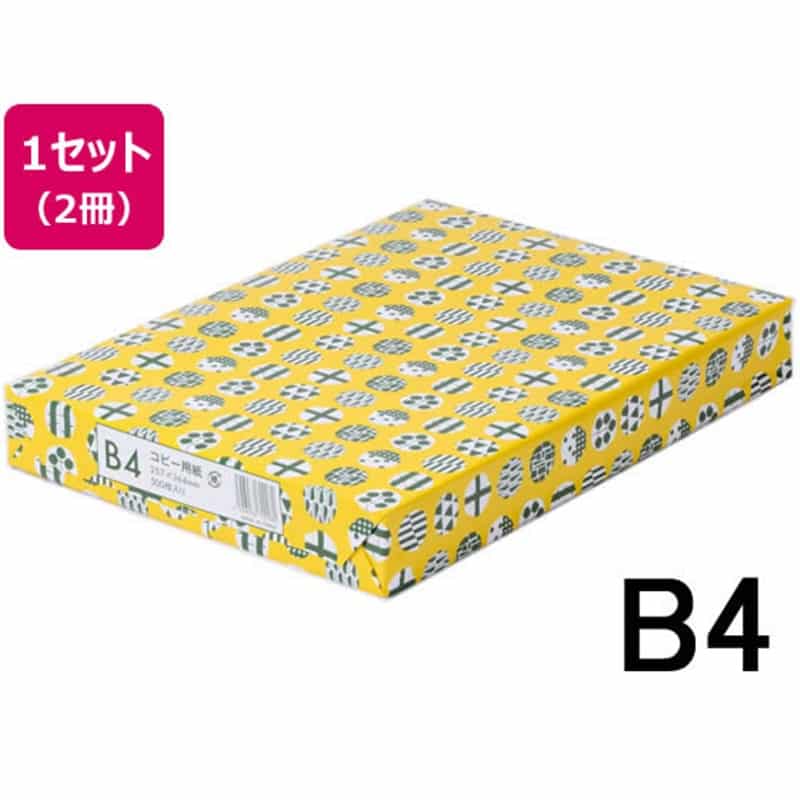 Forestway コピーペーパー ノルディック B4 500枚×2冊 1セット（ご注文単位1セット）【直送品】
