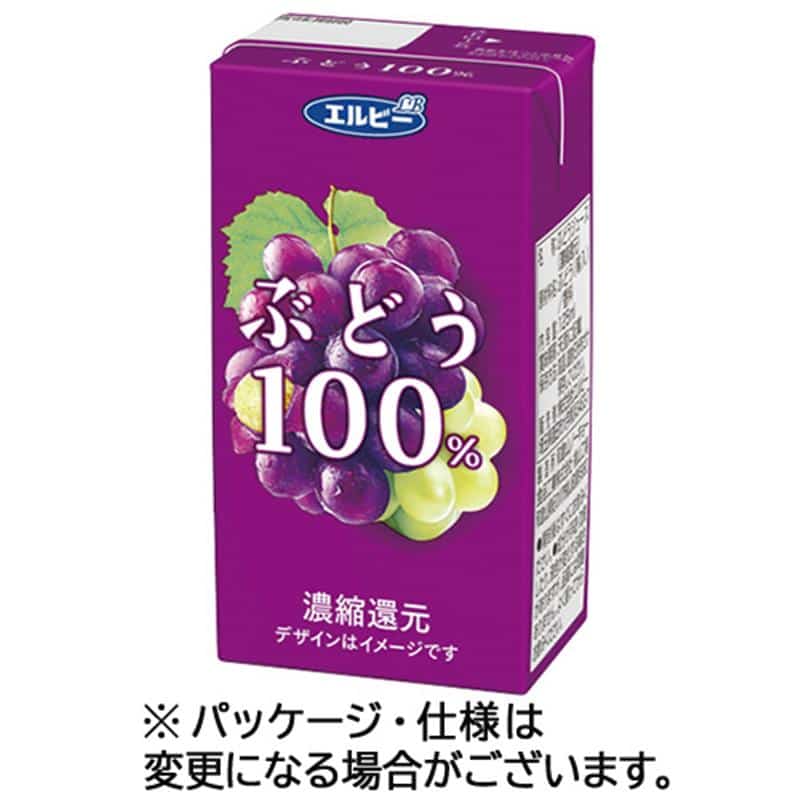 エルビー ぶどう100% 125mL 紙パック 1セット(48本:24本×2ケース) ※軽(ご注文単位1セット)【直送品】