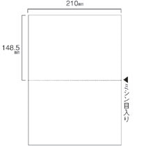 TANOSEE スマイル用LBP用紙 A4汎用白紙 2分割 穴なし 500枚 2個/箱（ご注文単位1箱）【直送品】