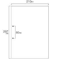 TANOSEE スマイル用LBP用紙 A4汎用白紙 分割なし 2穴 500枚 2個/箱（ご注文単位1箱）【直送品】