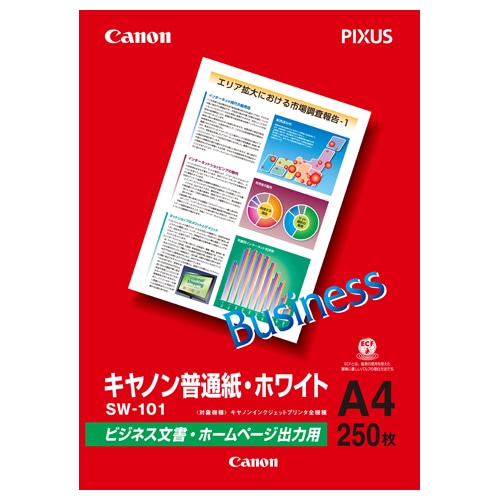 キヤノン 普通紙・ホワイト SW-101A4 A4 6614A001 250枚/冊(ご注文単位1冊)【直送品】