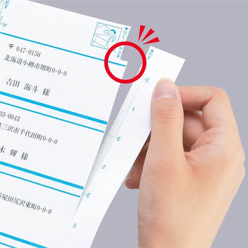 コクヨ プリンタを選ばない はかどりラベル(各社共通レイアウト) A4 10面 50.8×86.4mm KPC-E1101-20 22枚/冊（ご注文単位1冊）【直送品】