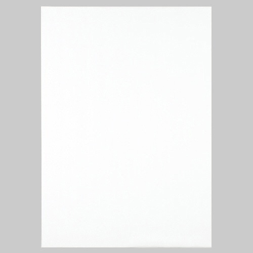 TANOSEE 模造紙(プルタイプ) 詰替用 765×1085mm 無地 ホワイト 20枚 3本/箱(ご注文単位1箱)【直送品】
