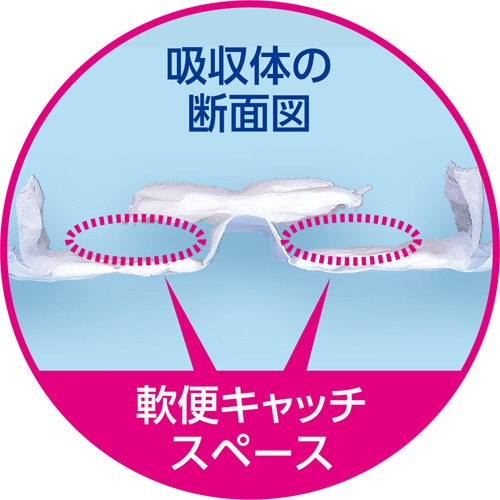 白十字 サルバ 安心Wフィット 強力吸収テープ止め L 10枚/袋（ご注文単位1袋）【直送品】