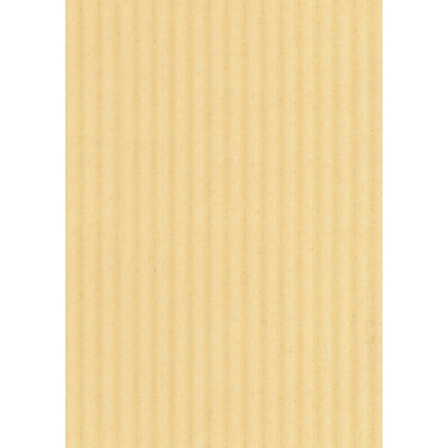 ヒサゴ リップルボード 薄口 A4 クリーム RBU04A4 3枚/袋(ご注文単位1袋)【直送品】