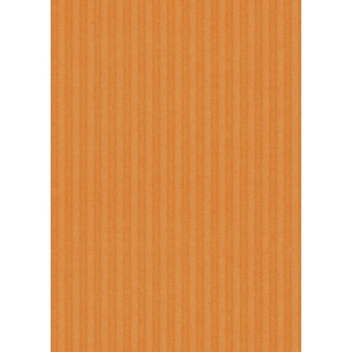 ヒサゴ リップルボード 薄口 A4 オレンジ RBU06A4 3枚/袋(ご注文単位1袋)【直送品】