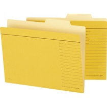 ライオン事務器 個別フォルダー A4判 A4-IF-R 1冊(ご注文単位1冊)【直送品】