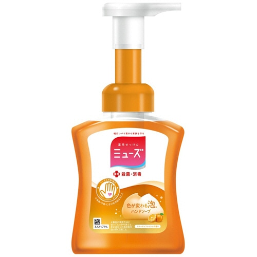 レキットベンキーザー・ジャパン 泡ミューズ フルーティフレッシュ 本体 250ml 1個(ご注文単位1個)【直送品】