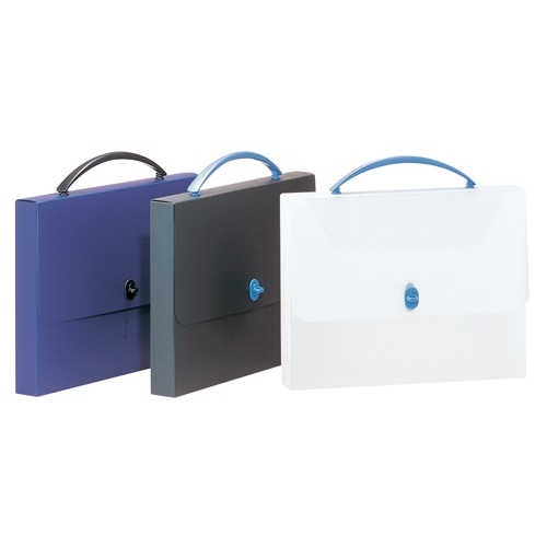 ライオン事務器　デザインケース　A4　ブラック　DS-253　1個（ご注文単位1個）【直送品】