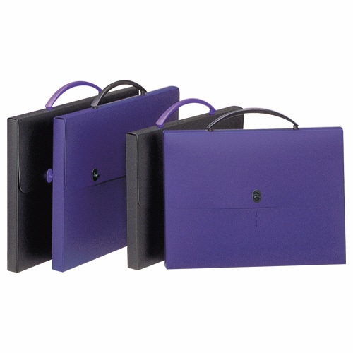 ライオン事務器　デザインケース　B4　ダークブルー　DS-263　1個（ご注文単位1個）【直送品】