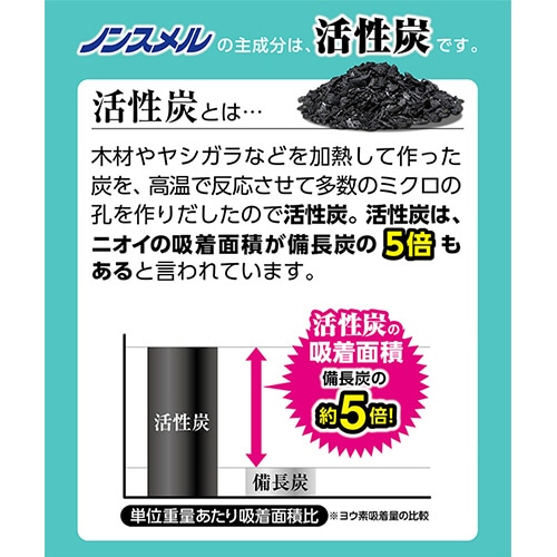 白元アース ノンスメル 冷凍室用置き型 1年間脱臭 1個(ご注文単位1個)【直送品】