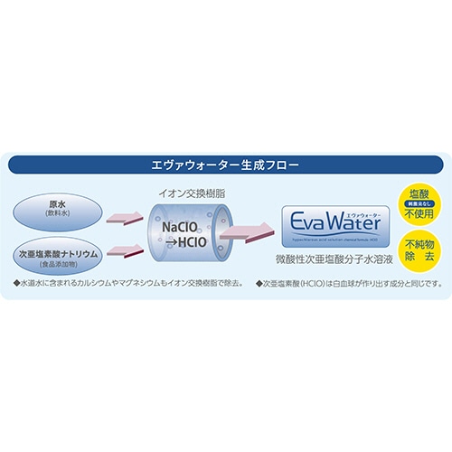 パークス エヴァウォーター 10L EW03-10LB 1ケース(ご注文単位1ケース)【直送品】