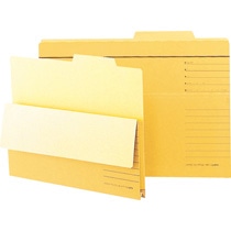 ライオン事務器　持出しフォルダー　B4　B4-APF-R　1セット（10冊）（ご注文単位1セット）【直送品】