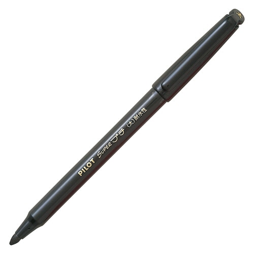 パイロット　スーパープチ　太字　ブラック　SEG-10B-B　1セット（10本）（ご注文単位1セット）【直送品】