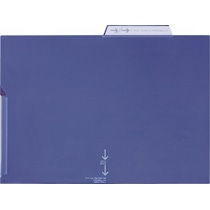 ライオン事務器 PPポケットホルダー A4 厚さ0.2mm ブルー LFS-02PH 1セット(5枚)(ご注文単位1セット)【直送品】
