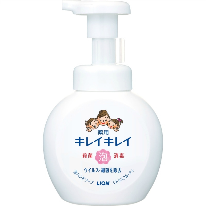 ライオン キレイキレイ薬用泡ハンドソープポンプ250ML 1個(ご注文単位1個)【直送品】