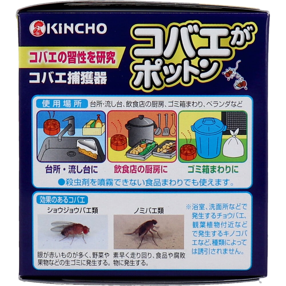 大日本除虫菊　金鳥 コバエがポットン 置き型 3個入　1パック（ご注文単位1パック）【直送品】