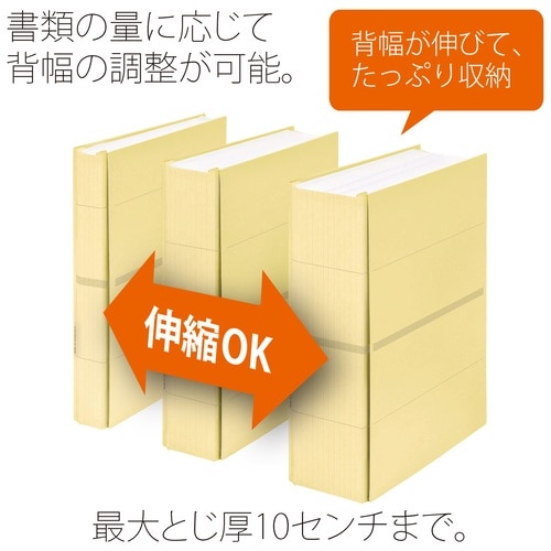 プラス PLUS フラットファイル A4縦 2穴 背幅伸縮セノバス FL-021SS 88-616 ベージュ 1冊(ご注文単位1冊)【直送品】
