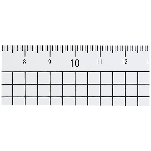スマートバリュー 再生PET直定規 30cm*10本 B333J-10 1パック(ご注文単位1パック)【直送品】