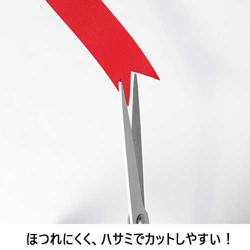 スマートバリュー カラーリボン 水色 12mm*25m 10個 B812J-SK10 1パック（ご注文単位1パック）【直送品】