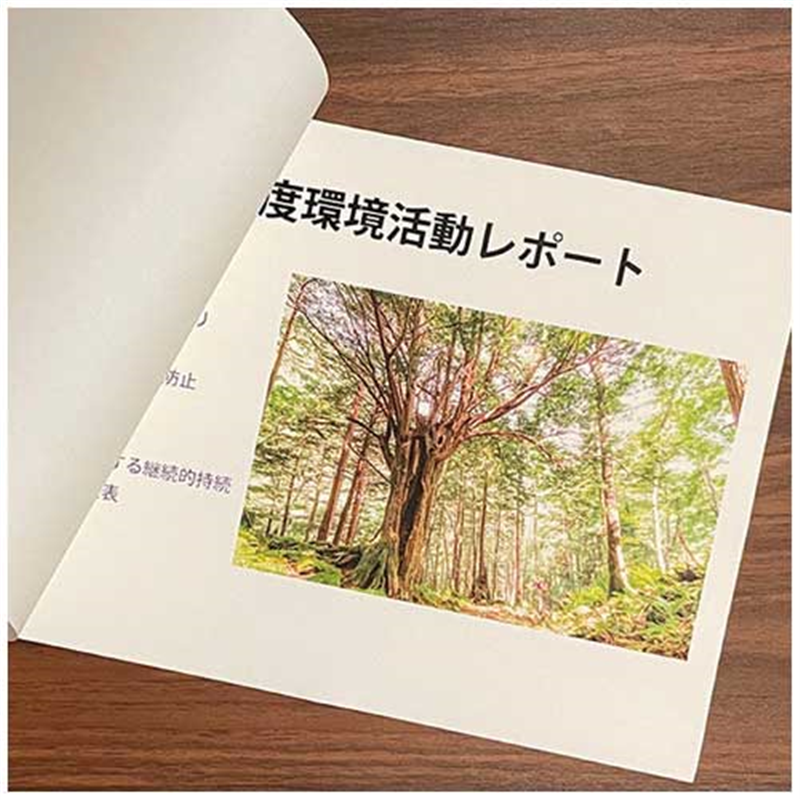 長門屋商店 美彩紙OAマルチケント104g ナ-924 A3 100枚 1個(ご注文単位1個)【直送品】