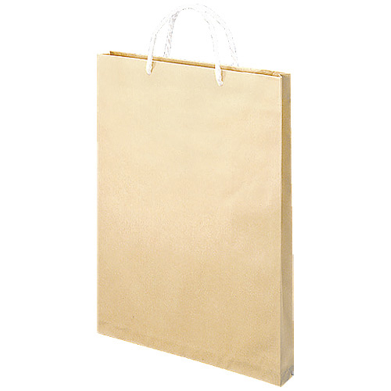 うずまき 額縁手提袋 ベ585 茶 B4 10枚 1個（ご注文単位1個）【直送品】