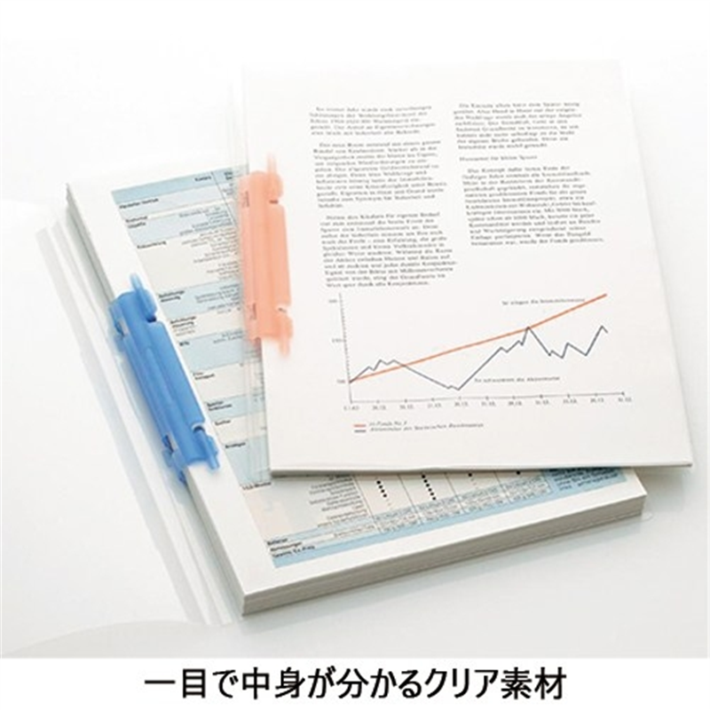 LIHITLAB ルーパーファイル F-3006-5P A4S 乳白 5冊 1個(ご注文単位1個)【直送品】
