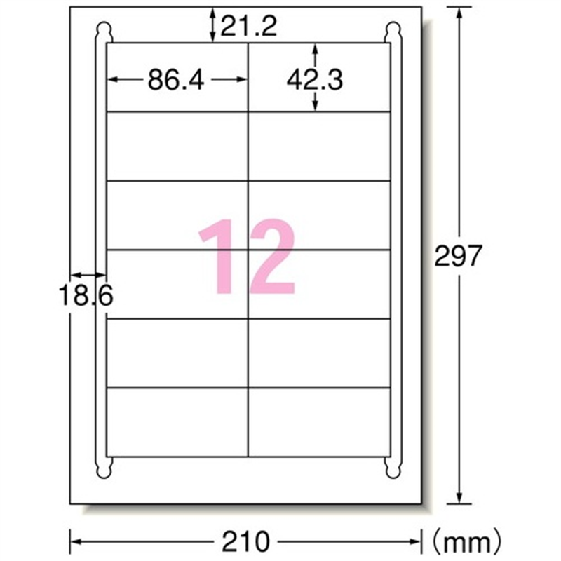 エーワン ラベルシールA4 12面100枚 31504  1個（ご注文単位1個）【直送品】