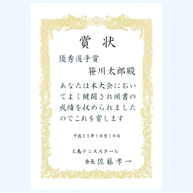 ササガワ 賞状用紙 10-1081 A3 横書 10枚 1個（ご注文単位1個）【直送品】