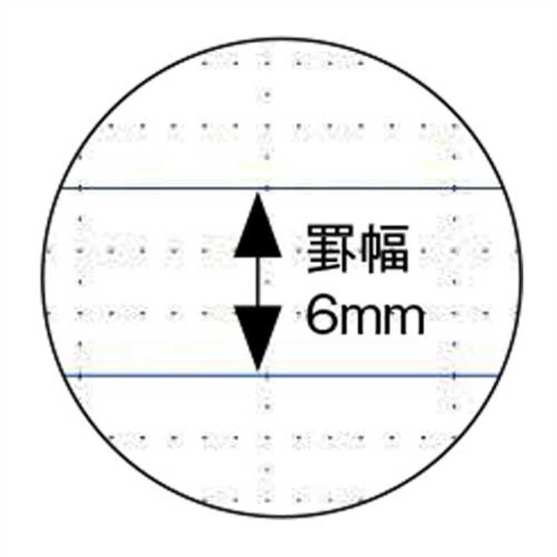 ナカバヤシ ロジカルノートセミB5 B罫5冊 ノ-B501B-5P 1個(ご注文単位1個)【直送品】